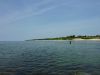 Filename=P1000346.JPG
Filesize=336KB
Dimensions=876x657
Date added=May 29, 2009 P1000346.JPG